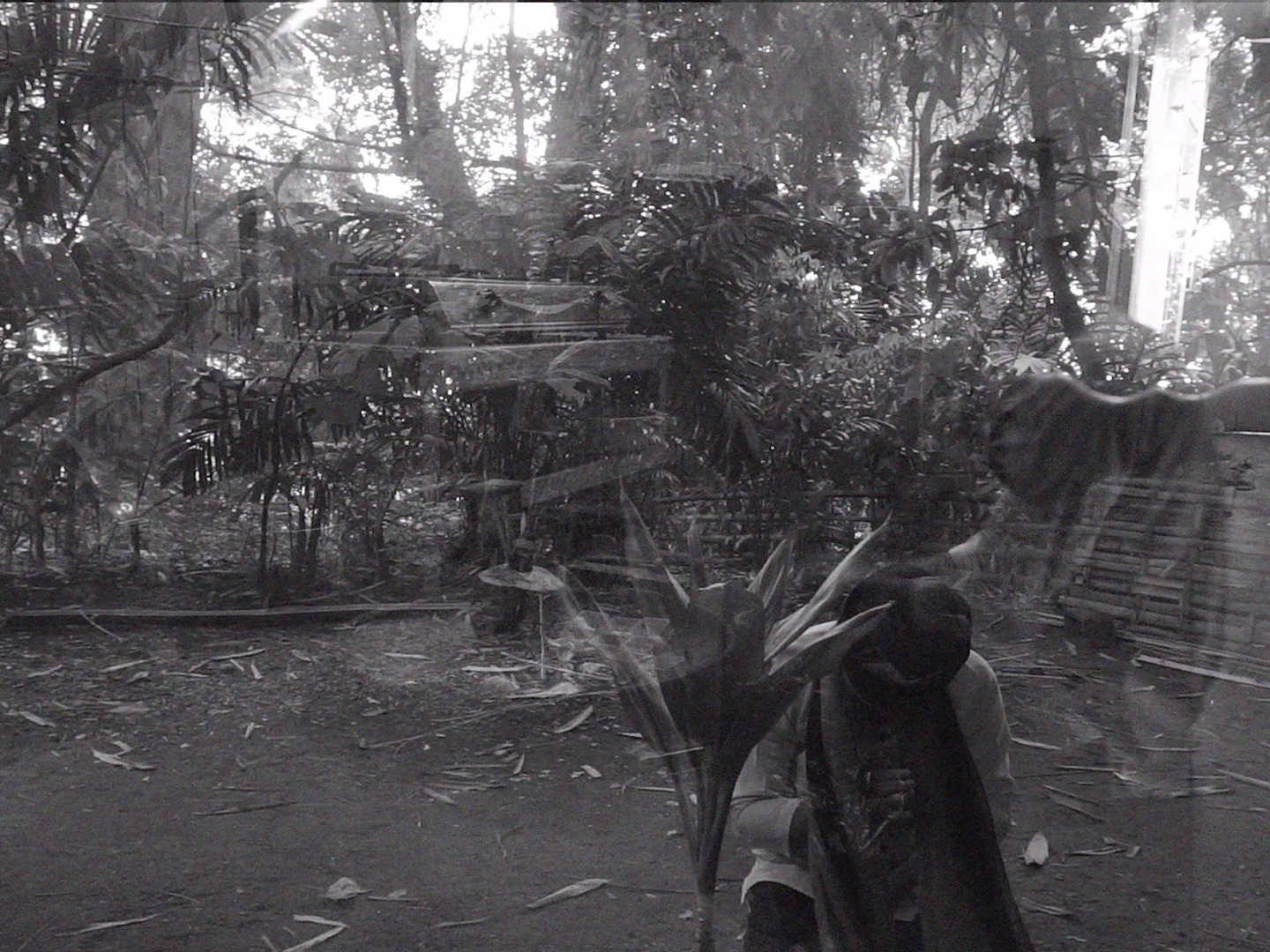 Still 2